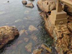 -东澳岛
