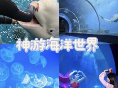 -威海华夏城景区