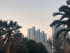 -苏州河梦清园环保主题公园