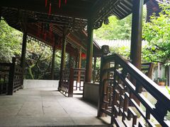 -十八棵（老龙井）御茶园(老龙井店)