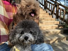 -陕西省红河谷森林公园