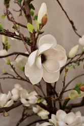 -酉嘉瑜伽YO+YOGA