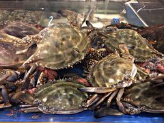 -海小馆海鲜餐厅(茂业百货店)