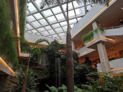 -广州白天鹅宾馆