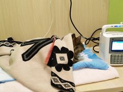 -美联众合动物医院·24h转诊中心
