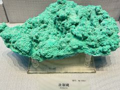 -湖南省地质博物馆