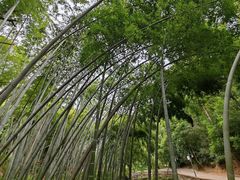 -东坡赤壁风景名胜区