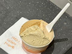 斑斓椰子-Dip in Gelato(富民路店)