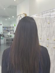 -YESIDO椰岛造型