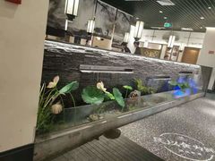 -大榕树下顺德菜(融创茂店)