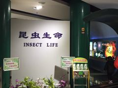 -上海昆虫博物馆
