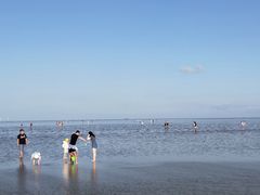 -南汇嘴观海公园