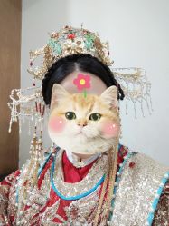 -金夫人婚纱摄影(总店)