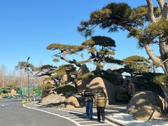 -罗红摄影艺术馆