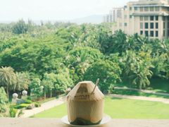 -海南清水湾莱佛士酒店