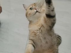 -牧马人宠物医院