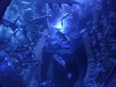 -成都浩海立方海洋公园