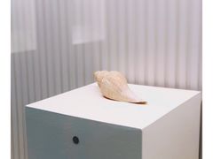 -青岛贝壳博物馆