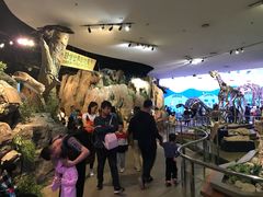 -陕西自然博物馆