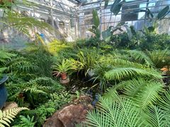 -国家植物园南园