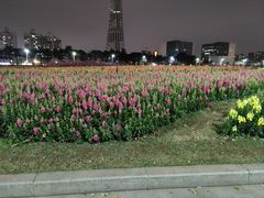 -海心沙亚运公园