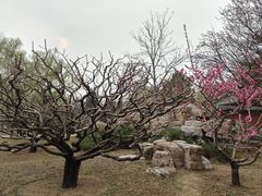 -北坞公园