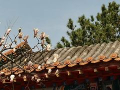 -碑林公园