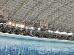 -世界之窗阿尔卑斯冰雪世界