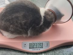 -爱侣宠医·鹦鹉专科·小型哺乳类·异宠专科(灵石路店)