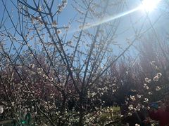 -蜀冈西峰生态公园