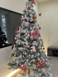 -VE专注问题肌·赛诺龙&科学美肤中心