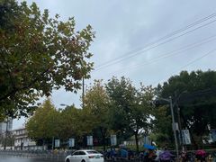 -上海长江软件园