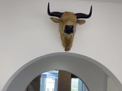 -黄牛肉馆·皖南土菜