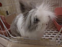 -平行世界·猫咖(首经贸店)