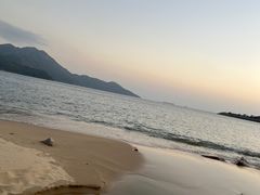 -南丫岛