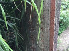 -会稽山峡洞漂流-上青古道