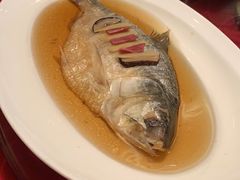 酒酿蒸鲥鱼-新镇江酒家(南京西路店)