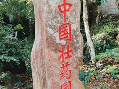 -通灵大峡谷