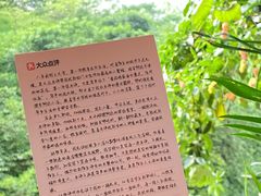 -重庆市江北嘴中央商务区中央公园