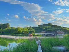 -河北省园博园