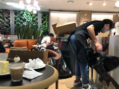 大堂-Peet's Coffee皮爷咖啡(德基店)