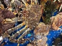 -盒马鲜生(红莲店)