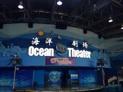 iphone_upload_pic-苏州海洋馆