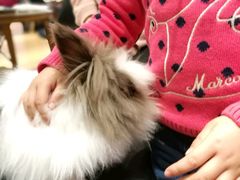 -藦茜花园宠物主题亲子互动体验馆(国顺东路店)