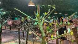 -酷嗒动物文化乐园(cutezoo西溪乐天城店)