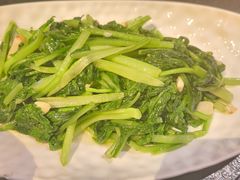 -唐猫庭院·千年陕菜(赛格国际购物中心店)