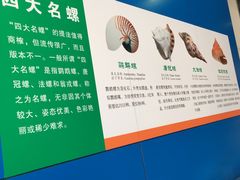 -上海海洋大学鱼文化博物馆(军工路校区)