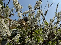 -风云岭森林公园