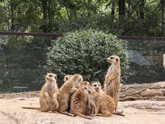 -沈阳森林动物园