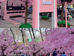 -金茂览秀城